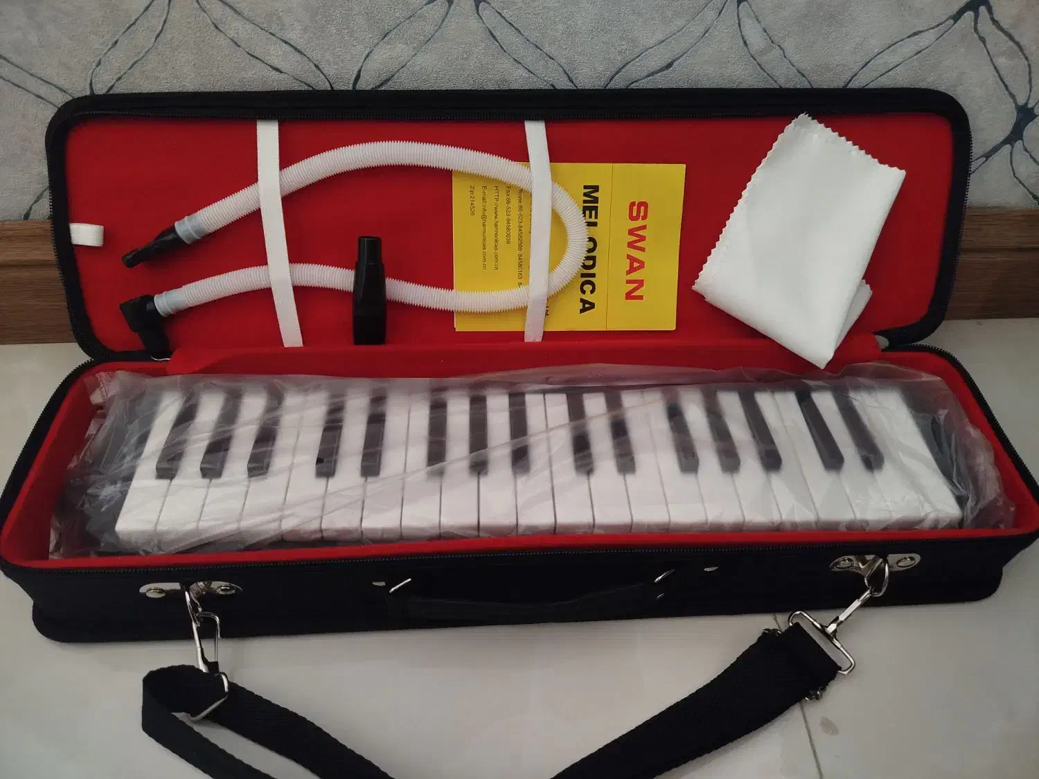 ملودیکا|سازهای بادی|مشهد, تربیت (صدف)|دیوار