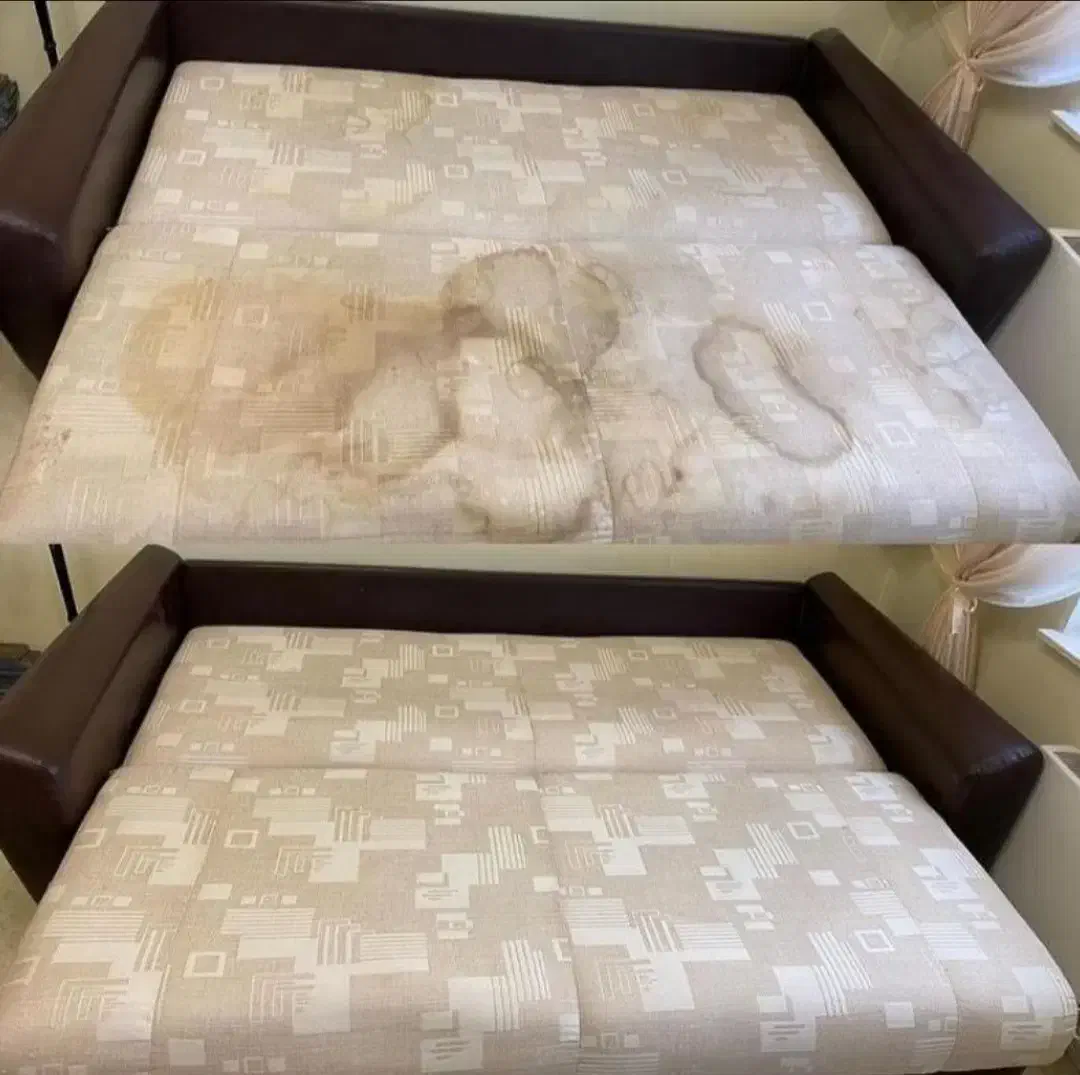 مبلشویی در منزل / مبل شویی در محل / مبل شوی تضمینی|خدمات نظافت|بندرعباس, |دیوار