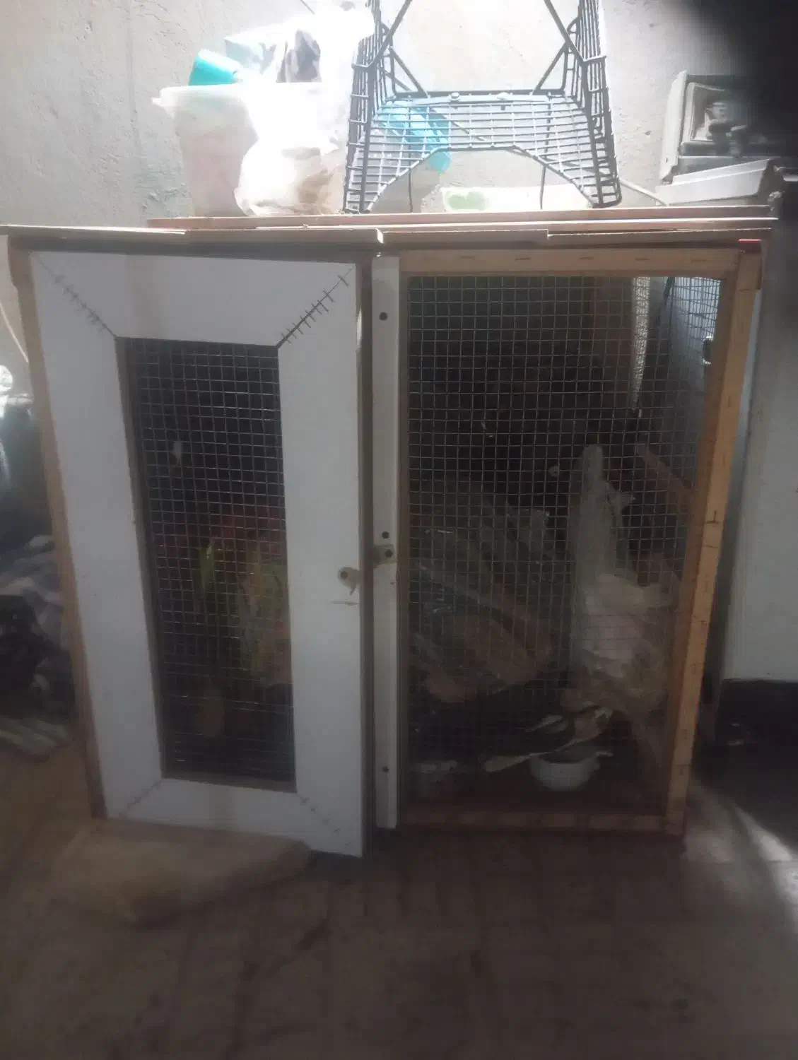 گنجه کفتر|لوازم جانبی حیوانات|ساوه, |دیوار