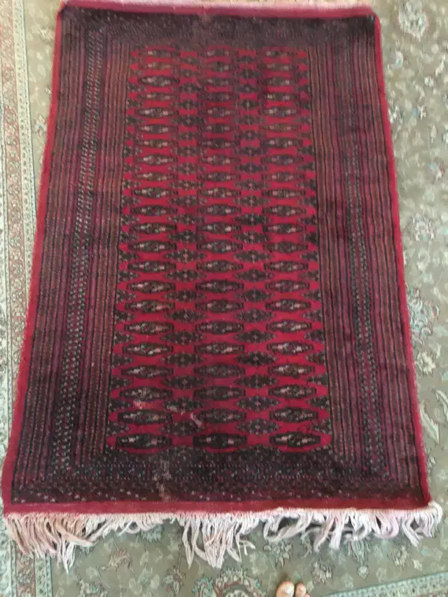 قالیچه ترکمن|گلیم، جاجیم، گبه|گلبهار, شهر جدید گلبهار|دیوار