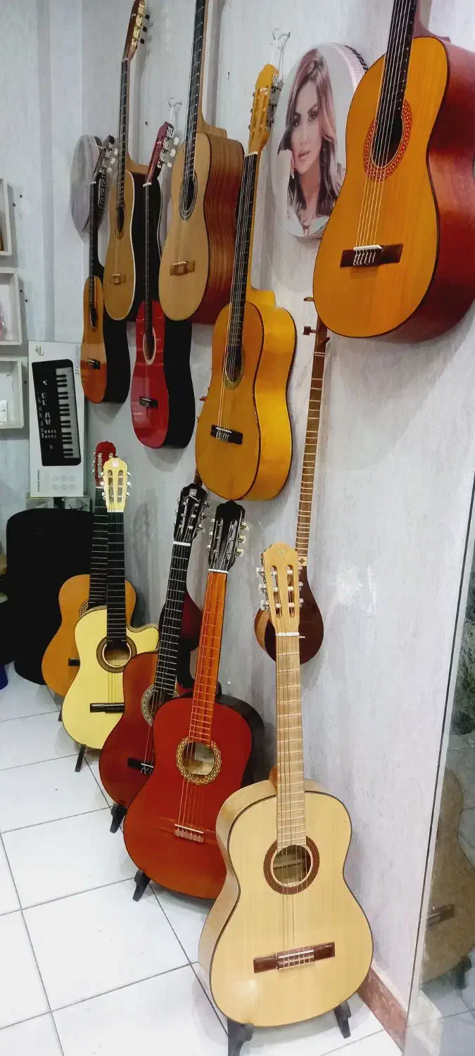 انواع گیتار و میکروفون|گیتار، بیس، امپلیفایر|ارومیه, |دیوار