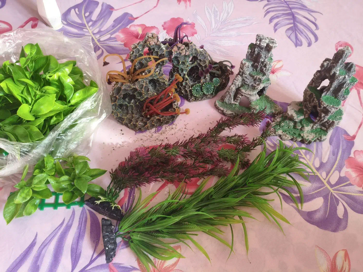 دکوراسیون داخل اکواریوم|ماهی|رشت, حاجی آباد|دیوار