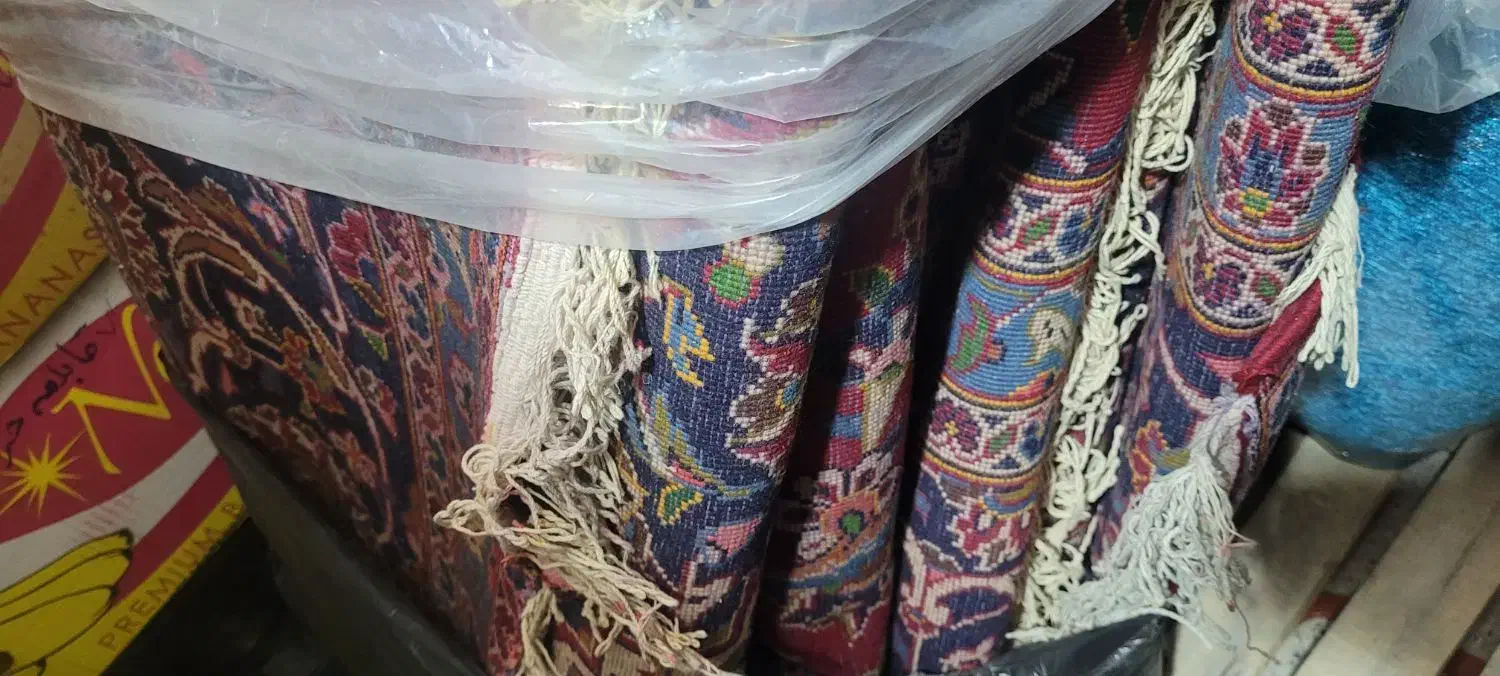 فرش دستبافت|فرش|بیرجند, |دیوار