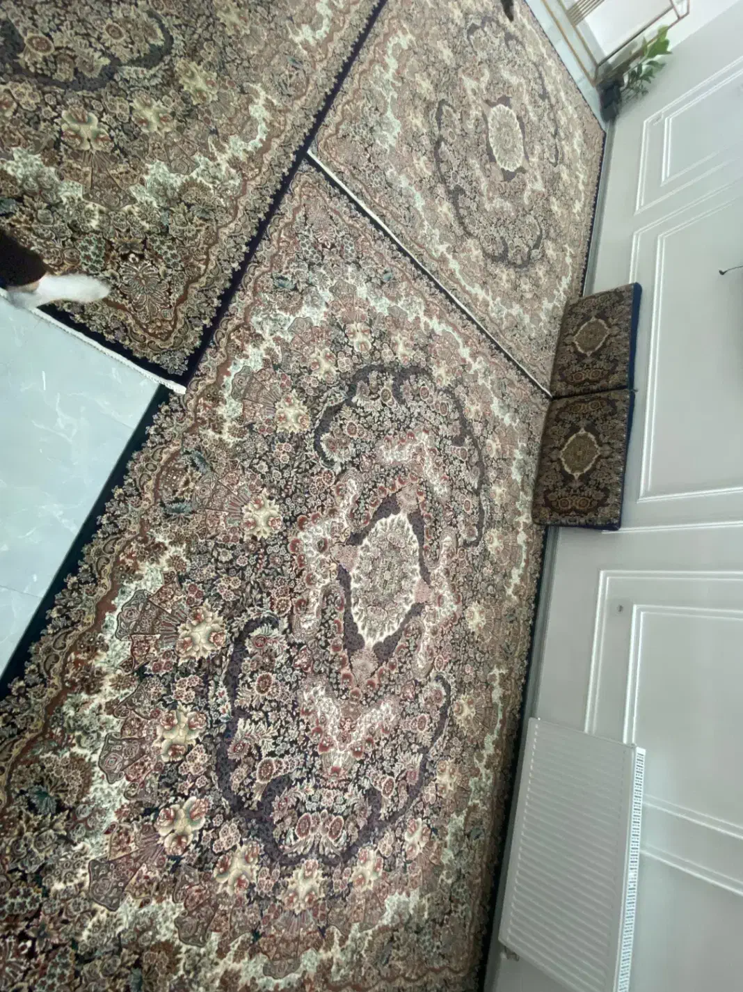 فرش ۹متری|فرش|قم, باغ کرباسی|دیوار