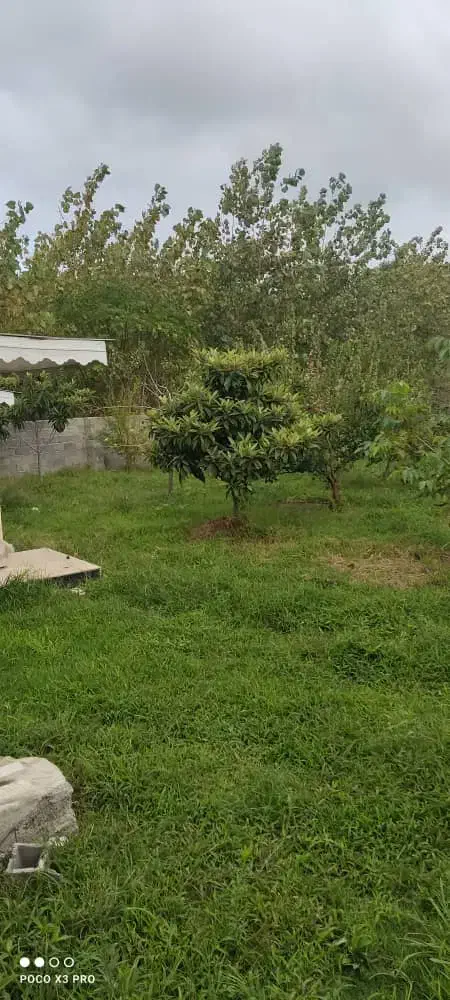 زمین ساحلی ۱۴۰۰ متری سند تک برگ تهاتر با تهران|فروش زمین و ملک کلنگی|چاف و چمخاله, |دیوار