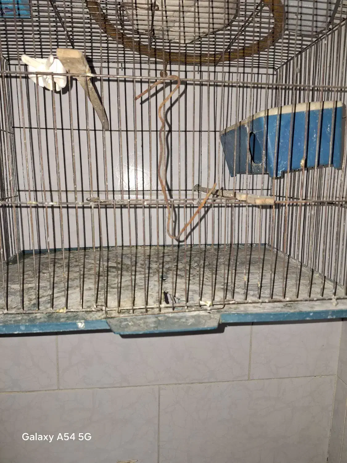 قفسه پرنده|لوازم جانبی حیوانات|اندیشه, اندیشه فاز ۱|دیوار