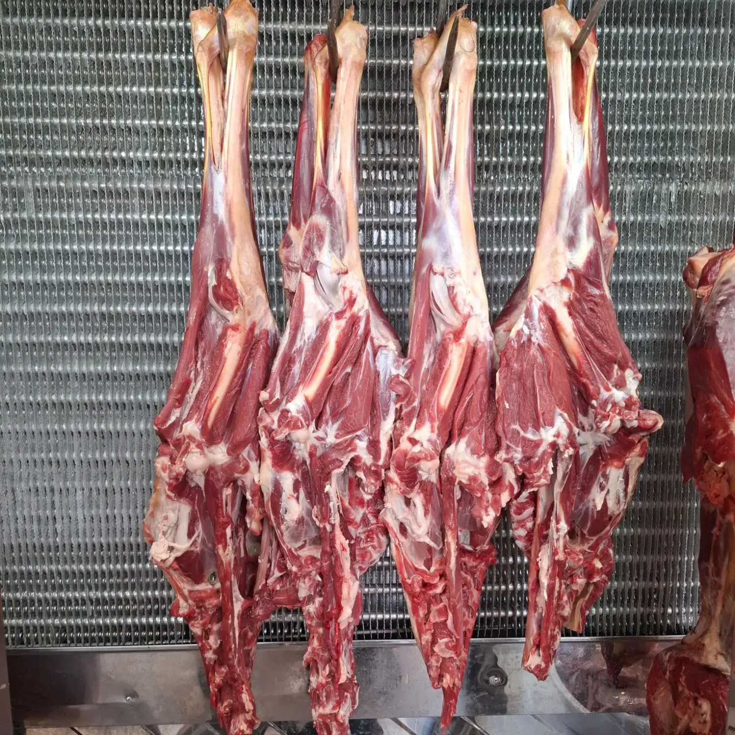 گوشت گوسفندی|عمده‌فروشی|جهرم, |دیوار