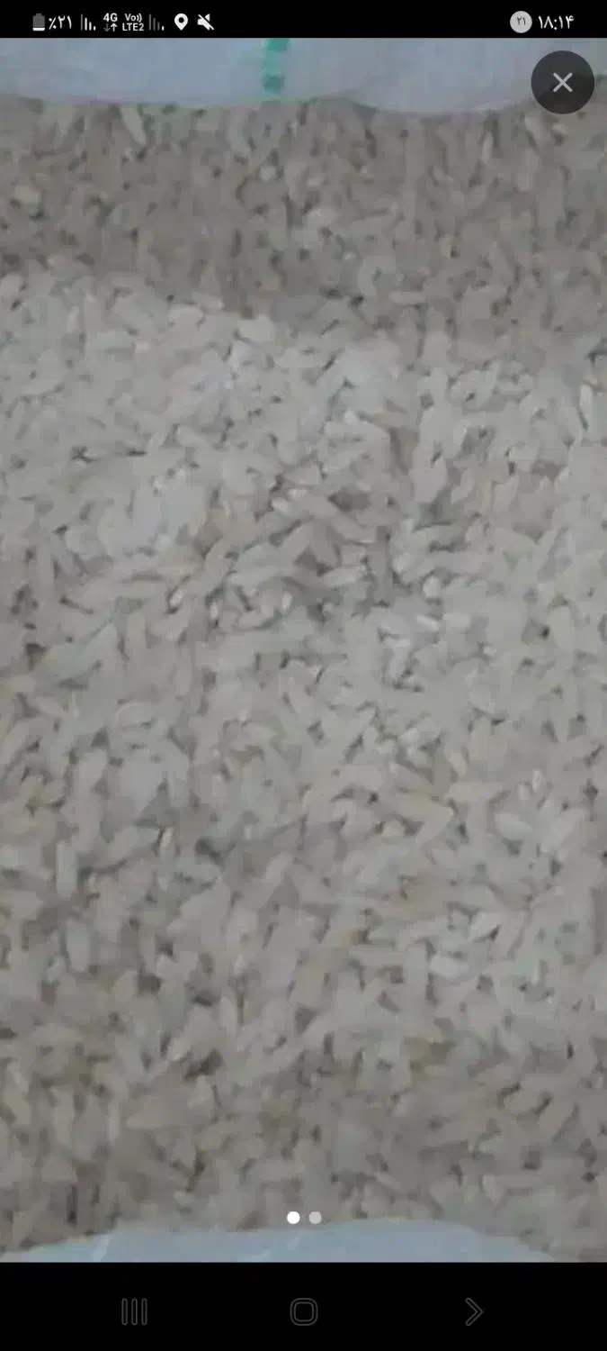 برنج سوسن کیلویی ۳۰۰|خوردنی و آشامیدنی|ایذه, |دیوار