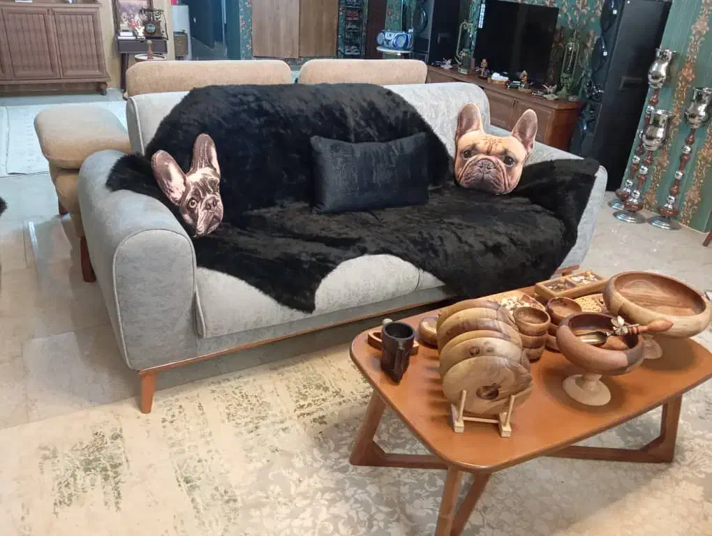 مبل نیم ست|مبلمان خانگی و میز عسلی|باقرشهر, |دیوار