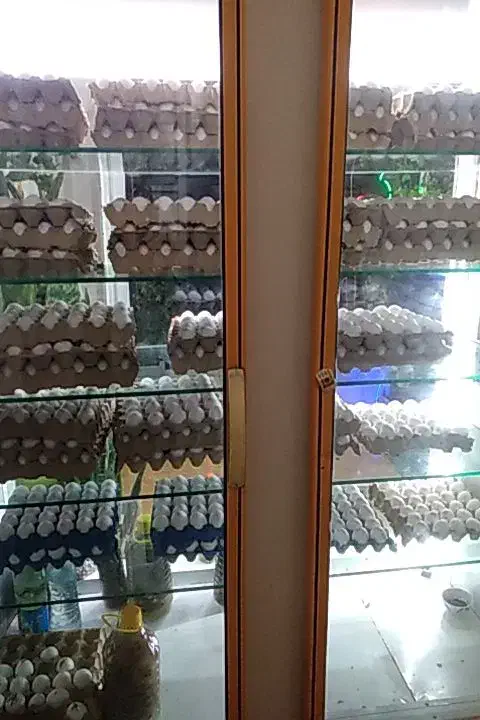 یخچال مغازه|فروشگاه و مغازه|شیروان (خراسان), |دیوار