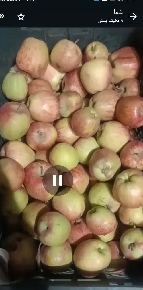 سیب داخل سبدمخصوص اسلایس آبگیری خشک و...|خوردنی و آشامیدنی|اصفهان, قهجاورستان|دیوار