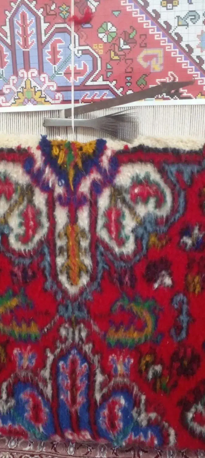 فرش نیمه کاره مهربان|فرش|بستان آباد, |دیوار