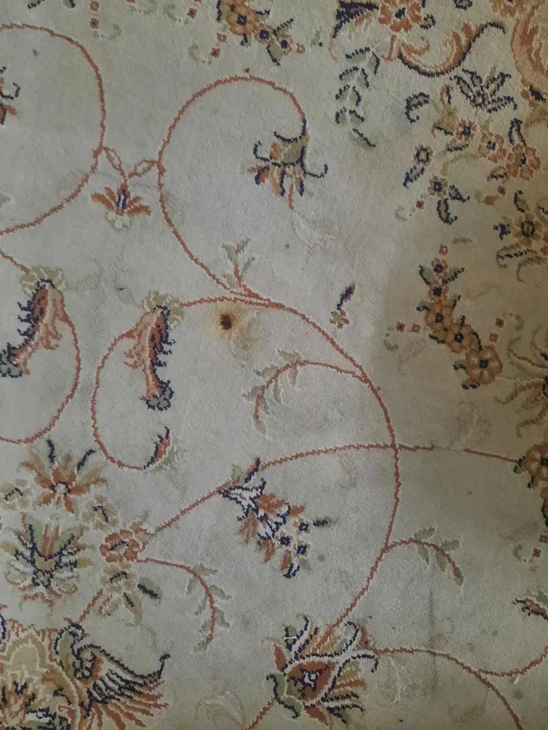 دوتافرش ۶متری مشهد|فرش|مشهد, آزادشهر|دیوار