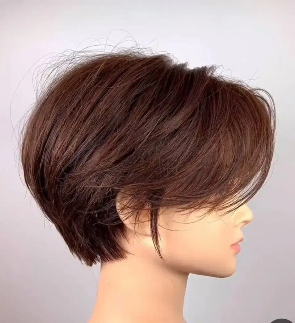 کوتاه کردن مو و شنیون|خدمات آرایشگری و زیبایی|کرمانشاه, |دیوار