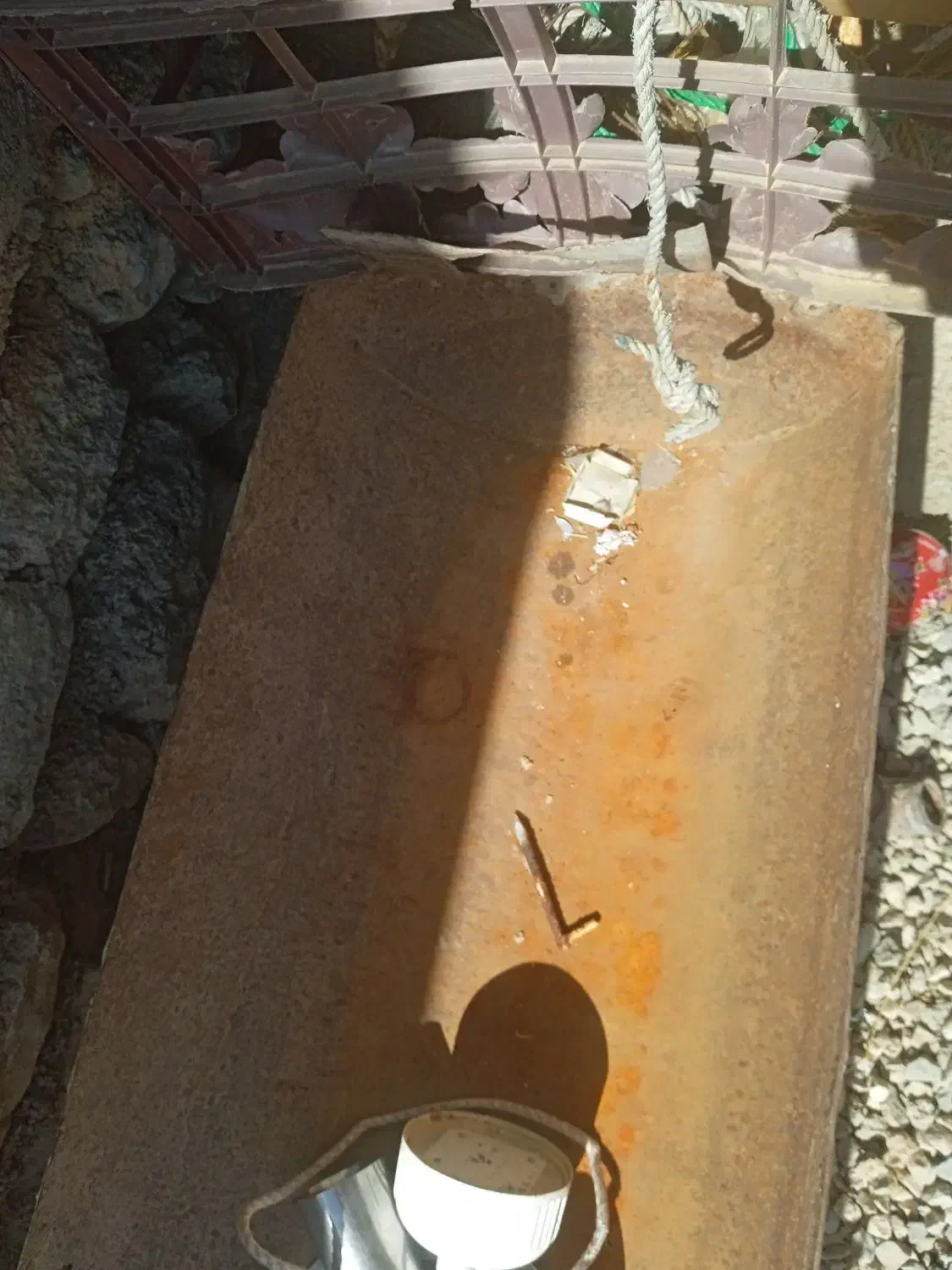 علف خوری سالم|لوازم جانبی حیوانات|دهدشت, |دیوار