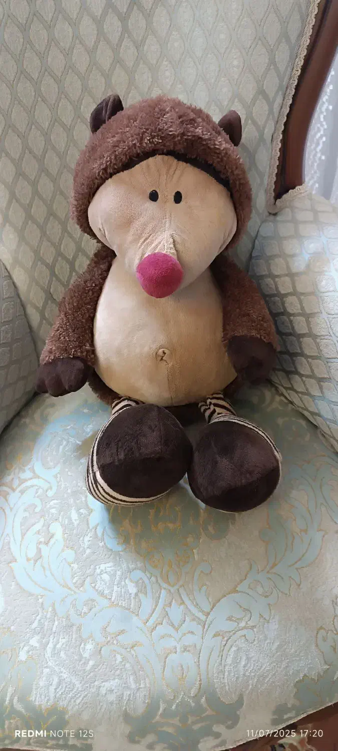 جوجه تیغی (عروسک خارجی)|اسباب‌‌بازی|مشهد, تربیت (صدف)|دیوار