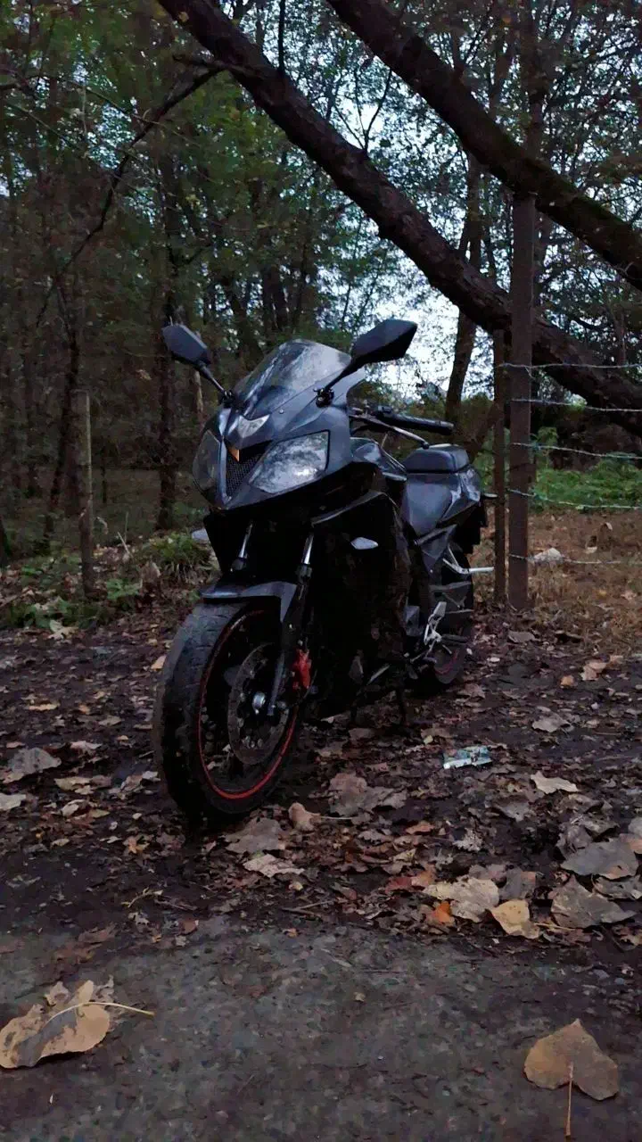 دایلیم250تیپ2|موتورسیکلت|رشت, رشتیان|دیوار