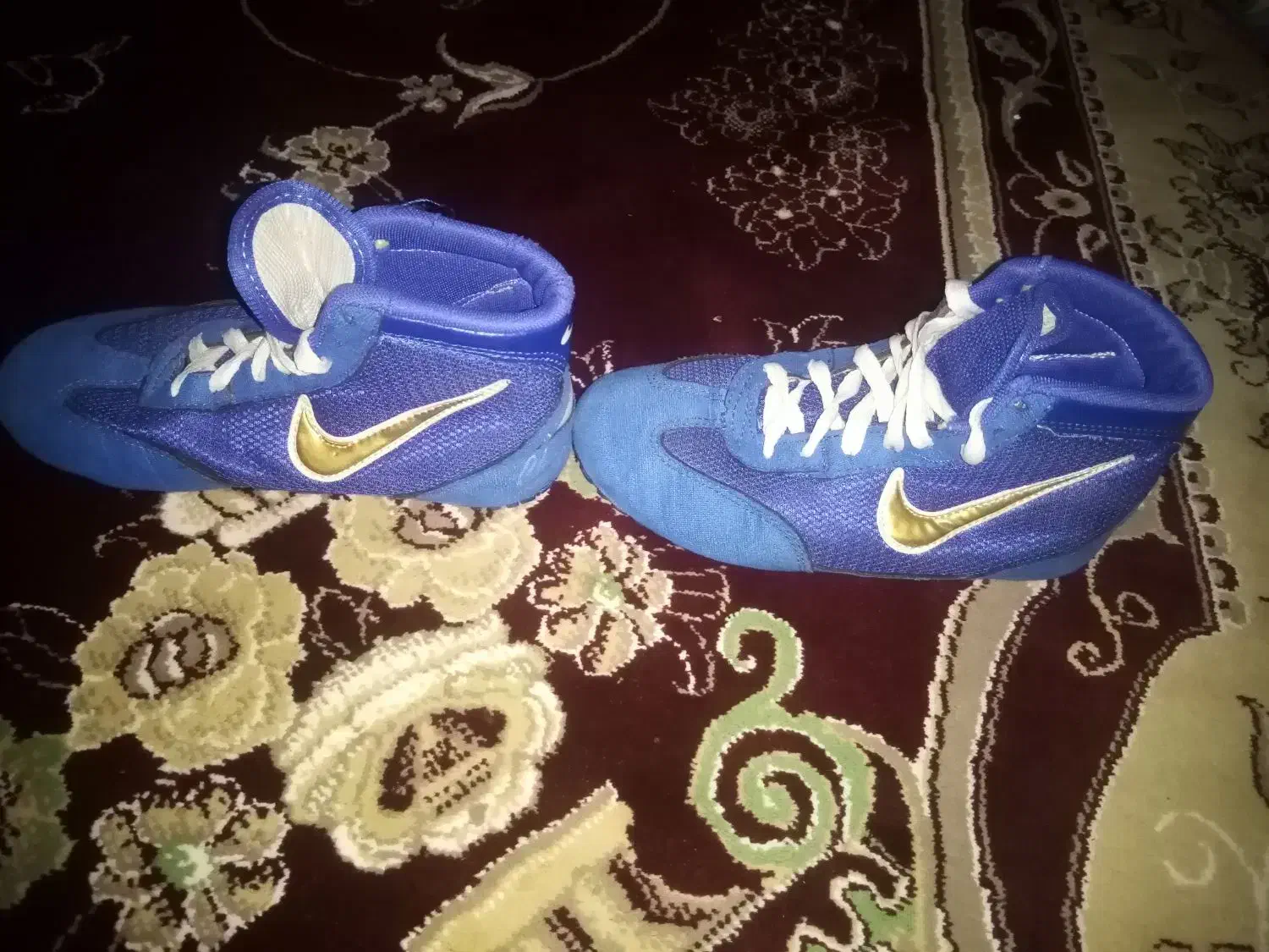 کفش کشتی|کیف، کفش، کمربند|الشتر, |دیوار