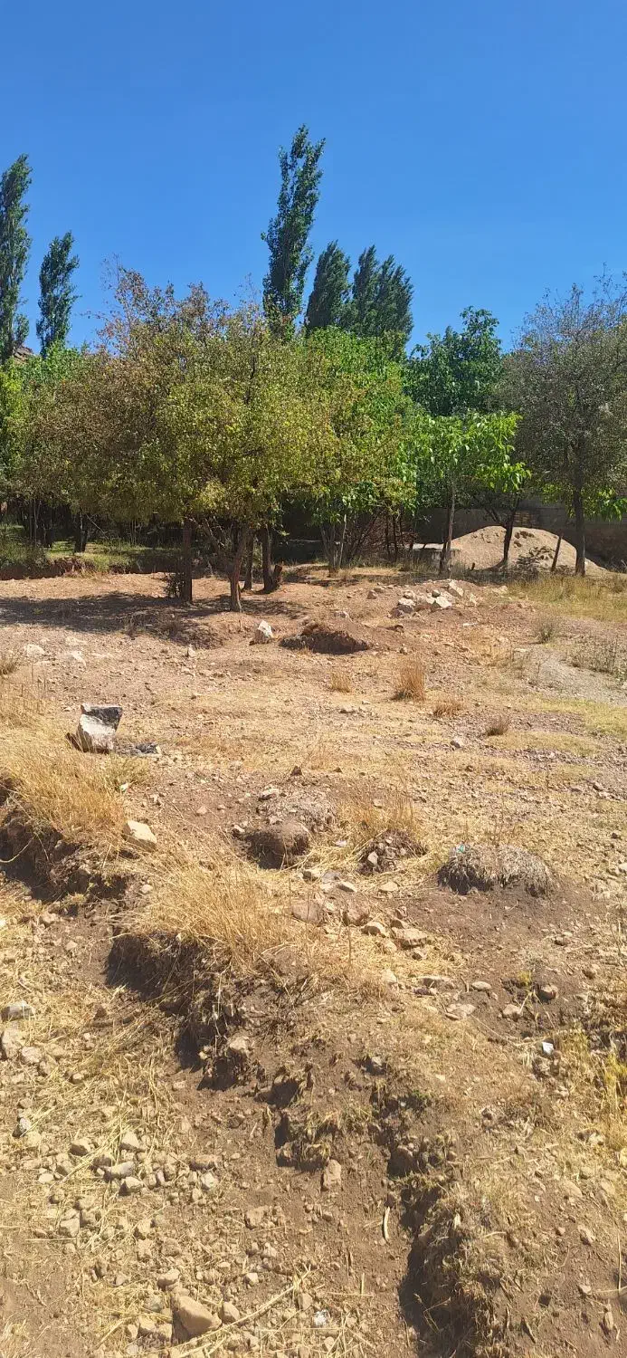 ۲۰۰ متر باغ چغورسیاه بالا|فروش دفتر صنعتی، کشاورزی، تجاری|اقلید, |دیوار