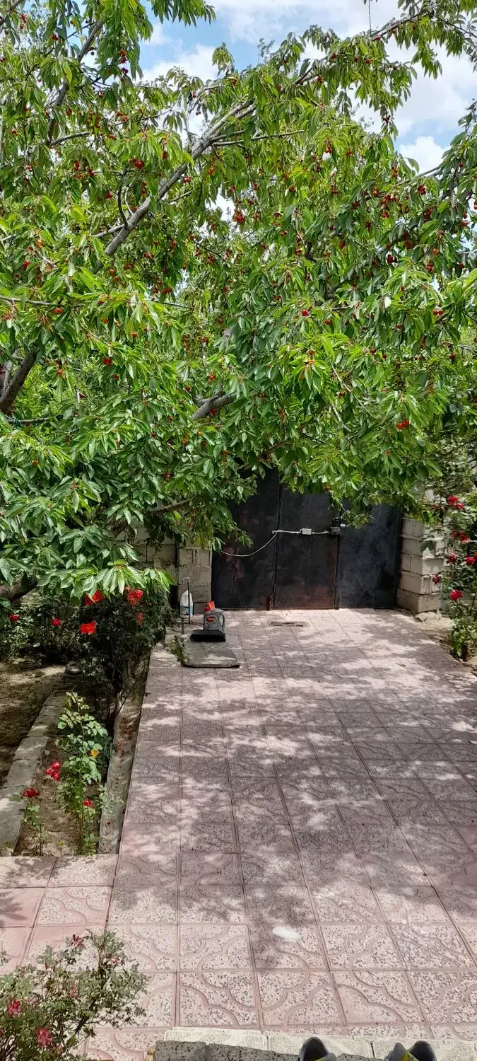 سوئیت خانه ویلایی|اجارهٔ کوتاهمدت آپارتمان و سوئیت|مشگین شهر, |دیوار