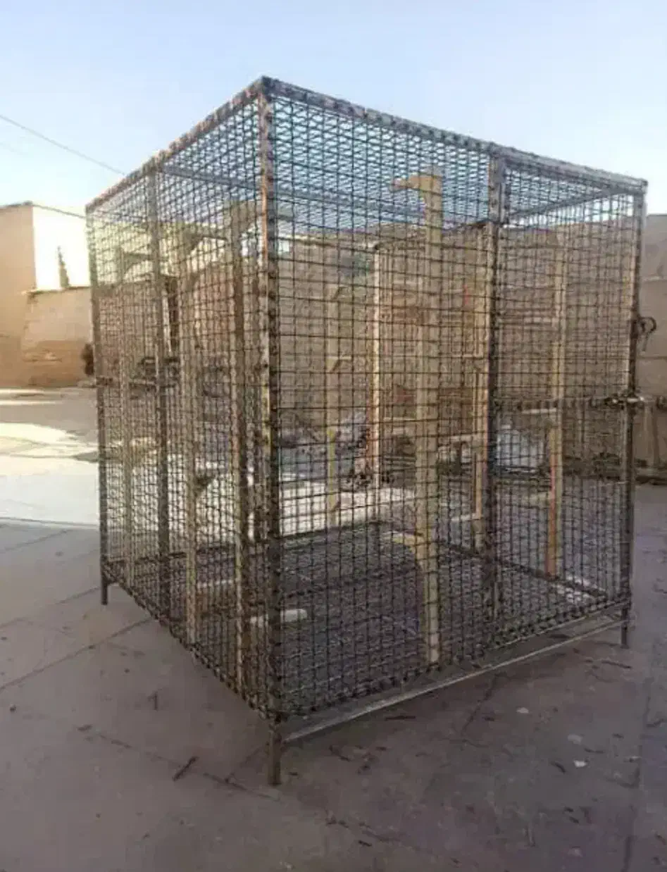 جفت گاه پرنده|لوازم جانبی حیوانات|داراب, |دیوار