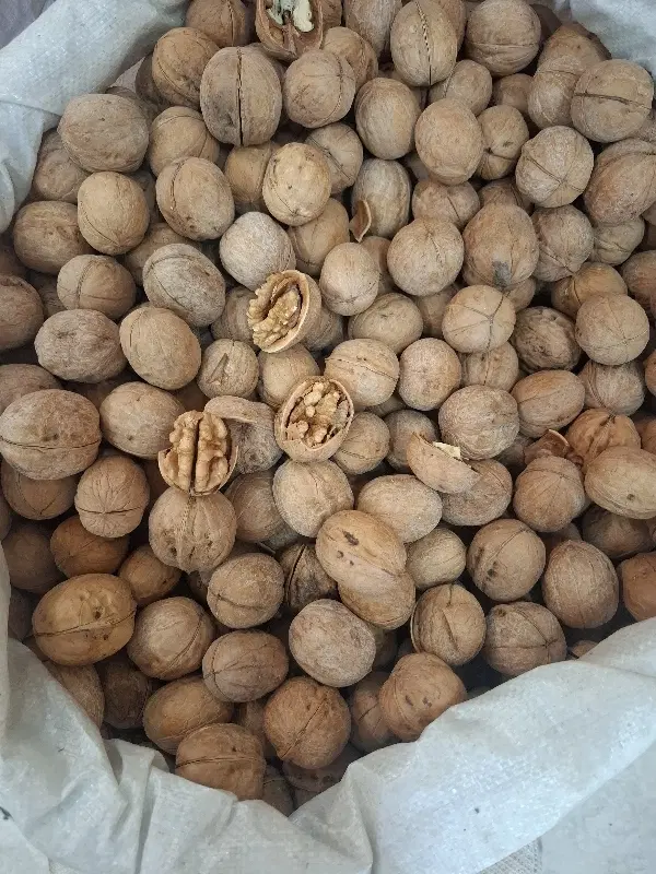 برنج، گردو، مغز گردو دندونه و دوپر، بادام تک پوست|خوردنی و آشامیدنی|اصفهان, دستگرده|دیوار
