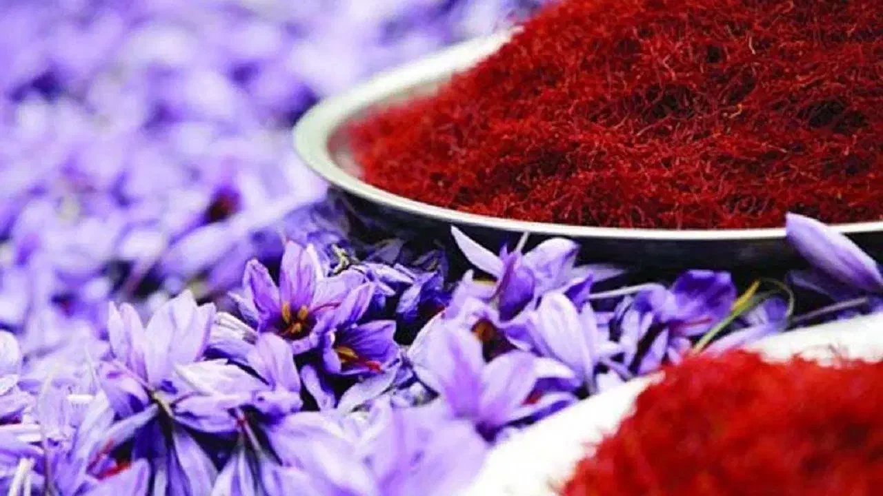 گل زعفران با عیار وکیفیت بالا ارزان وتازه بخر|خوردنی و آشامیدنی|تهران, بلورسازی|دیوار