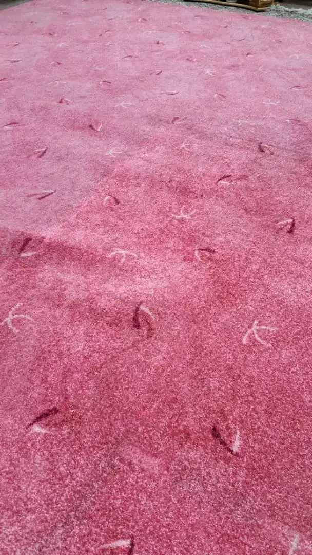 موکت 12 مترپالاز|موکت|دزفول, |دیوار