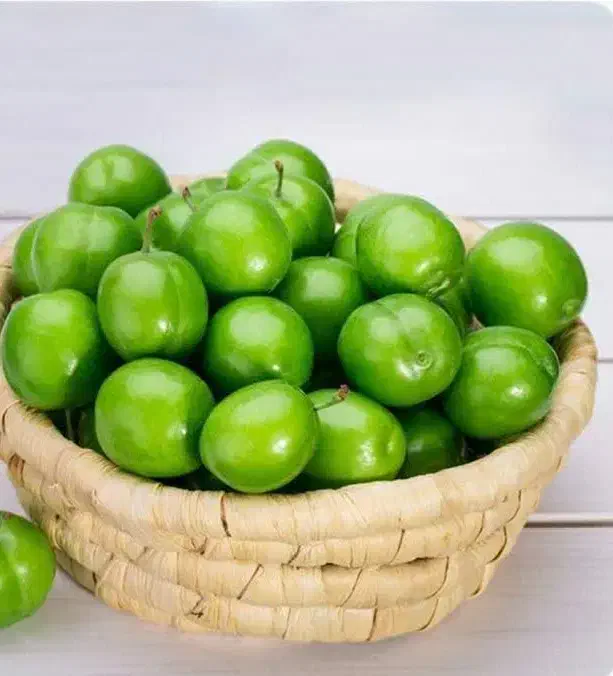 پیشفروش نهال گوجه سبز|خدمات باغبانی و درختکاری|لاران, |دیوار