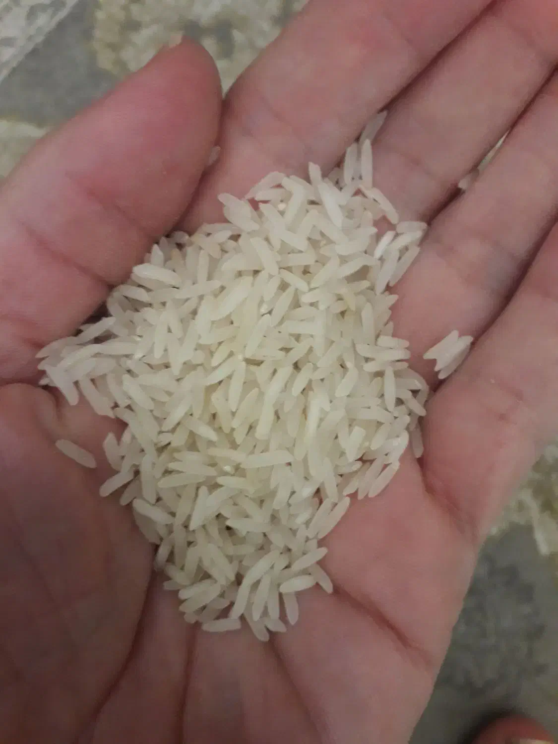 برنج طارم هاشمی|خوردنی و آشامیدنی|قائم‌شهر, |دیوار