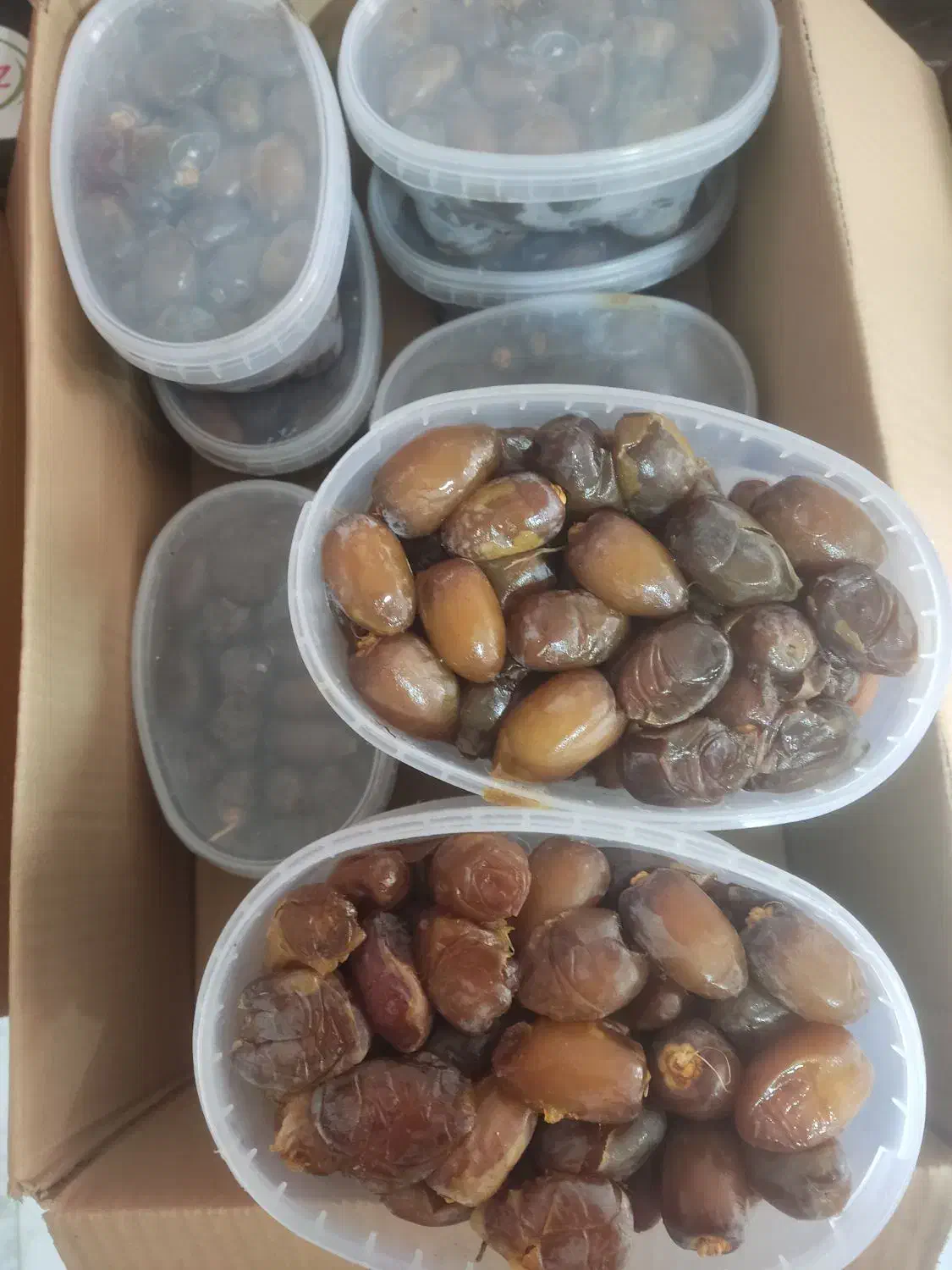 رطب عسلی کبکاب|عمده‌فروشی|برخوار, |دیوار