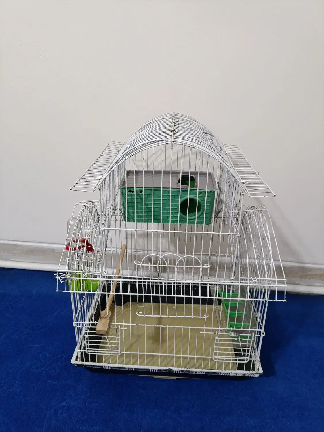 قفس پرنده|لوازم جانبی حیوانات|تهران, خاک سفید|دیوار