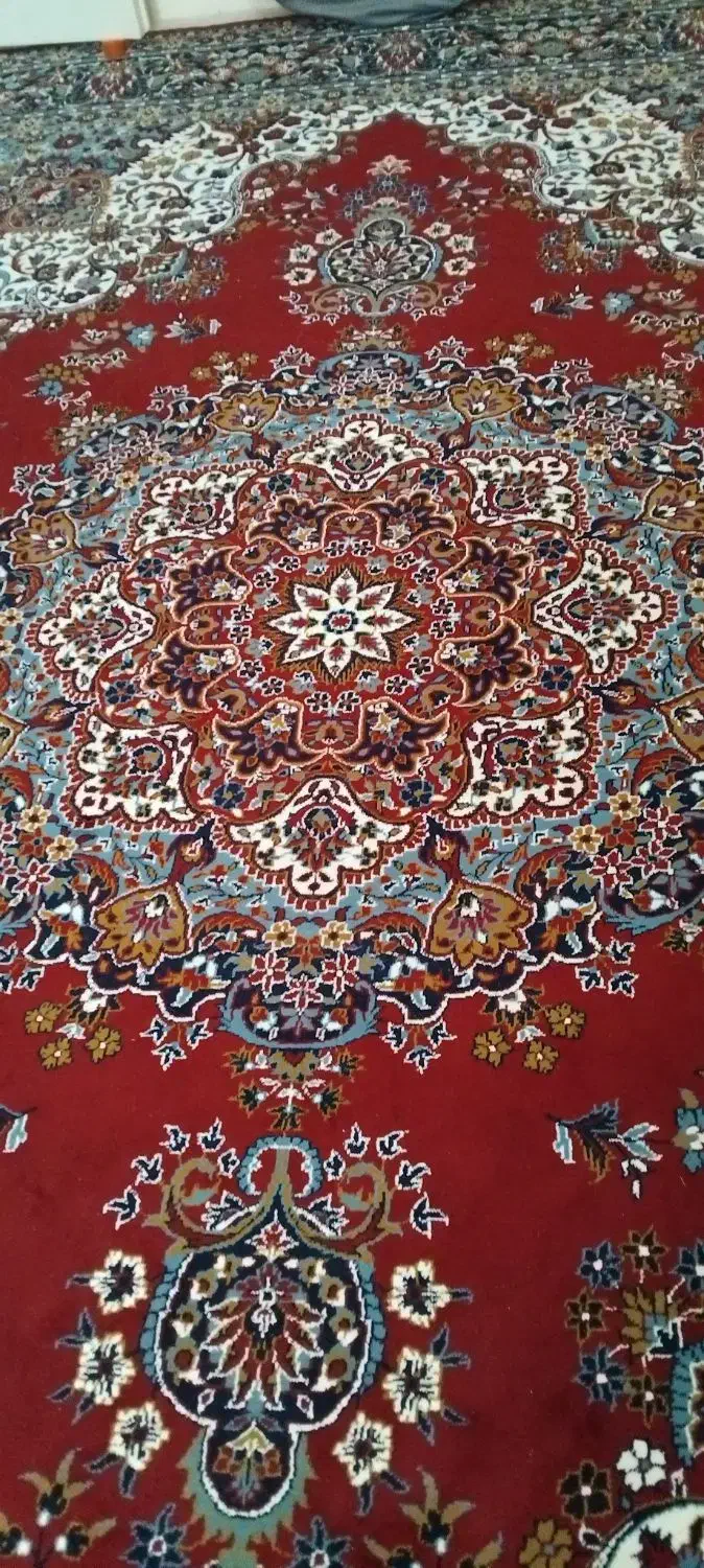 فرش ۱۲ متری|فرش|گلستان (تهران), |دیوار