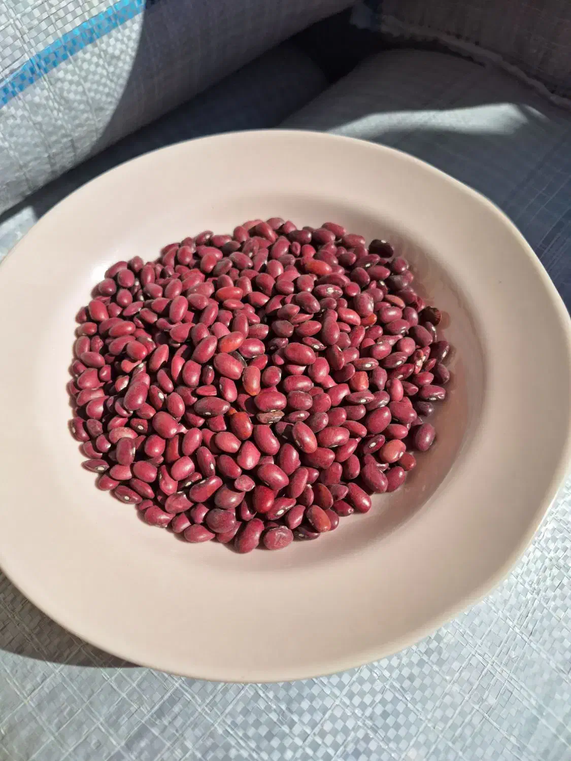 لوبیا قرمز درجه ۱|خوردنی و آشامیدنی|شیراز, گلشن|دیوار