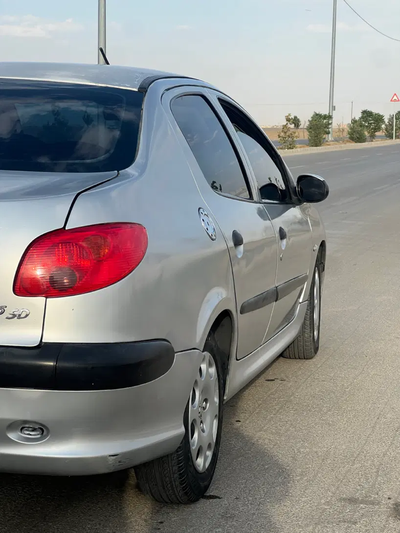 206 sd v20|خودرو سواری و وانت|رباط‌کریم, رباط‌کریم|دیوار