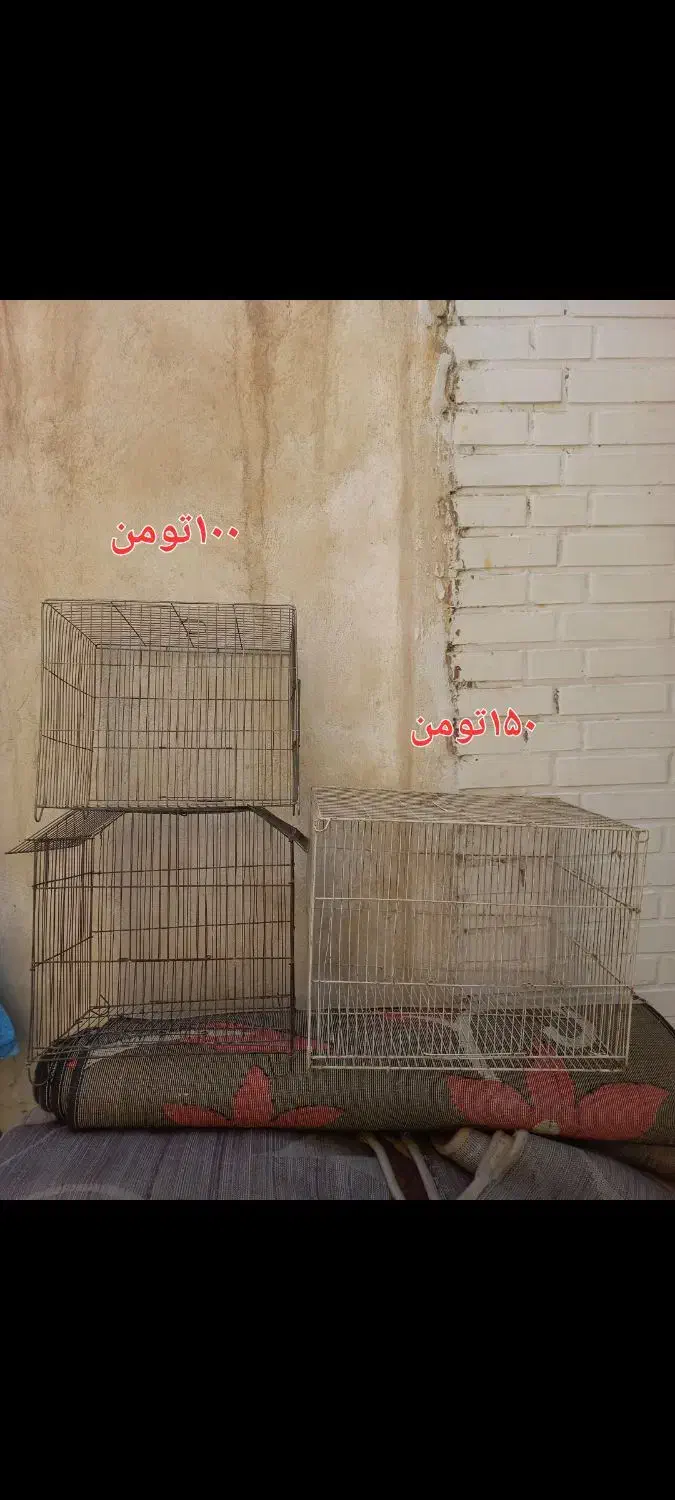 قفس|لوازم جانبی حیوانات|اهواز, امانیه|دیوار