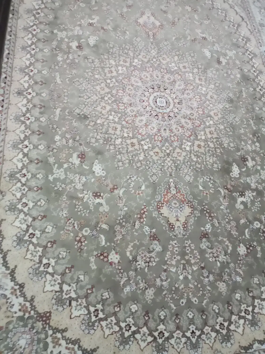 فرش|فرش|قم, پردیسان|دیوار