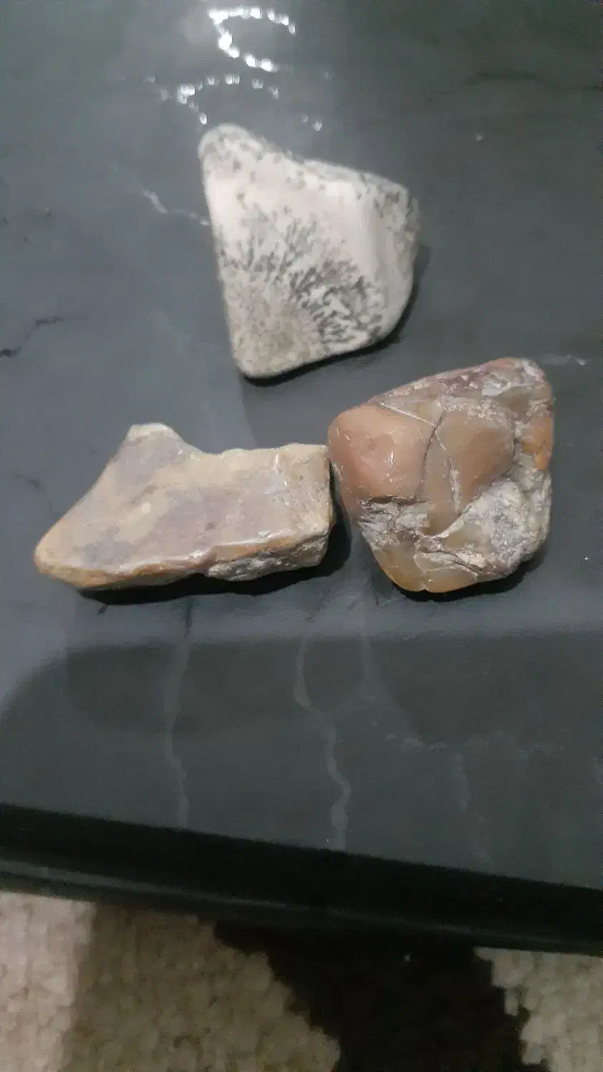 ۲ عدد کهربای اصل وزن حدودا۶ت۷گرم یکشجرگیلان|کلکسیون اشیاء عتیقه|بندر انزلی, سید آسیه|دیوار