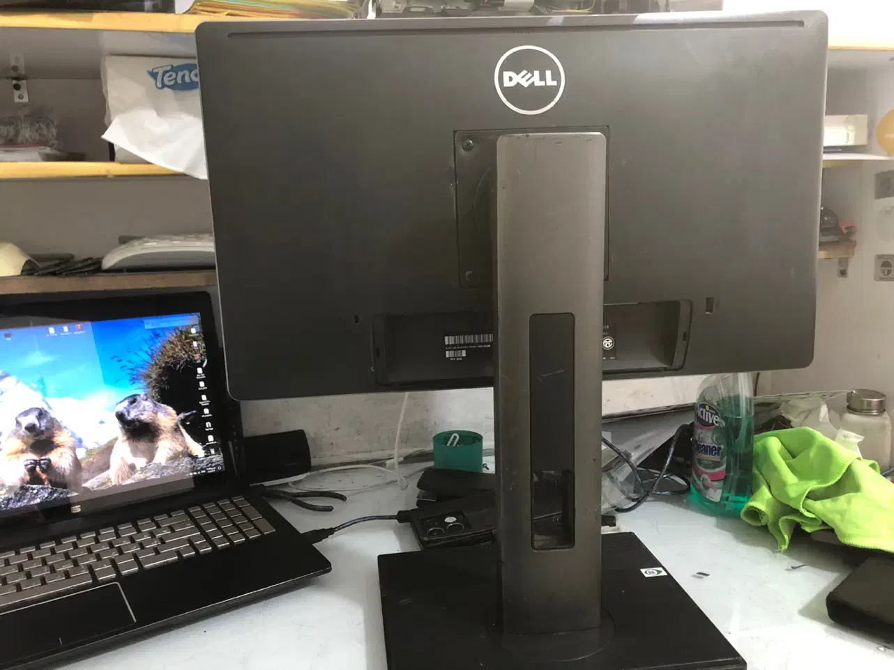 مانیتور dell|قطعات و لوازم جانبی رایانه|اصفهان, خرم|دیوار