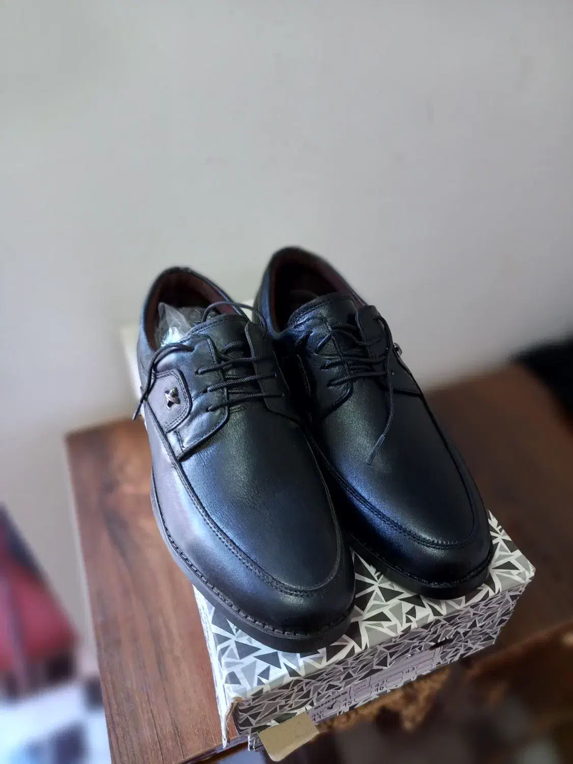 کفش چرمی|کیف، کفش، کمربند|اهر, |دیوار