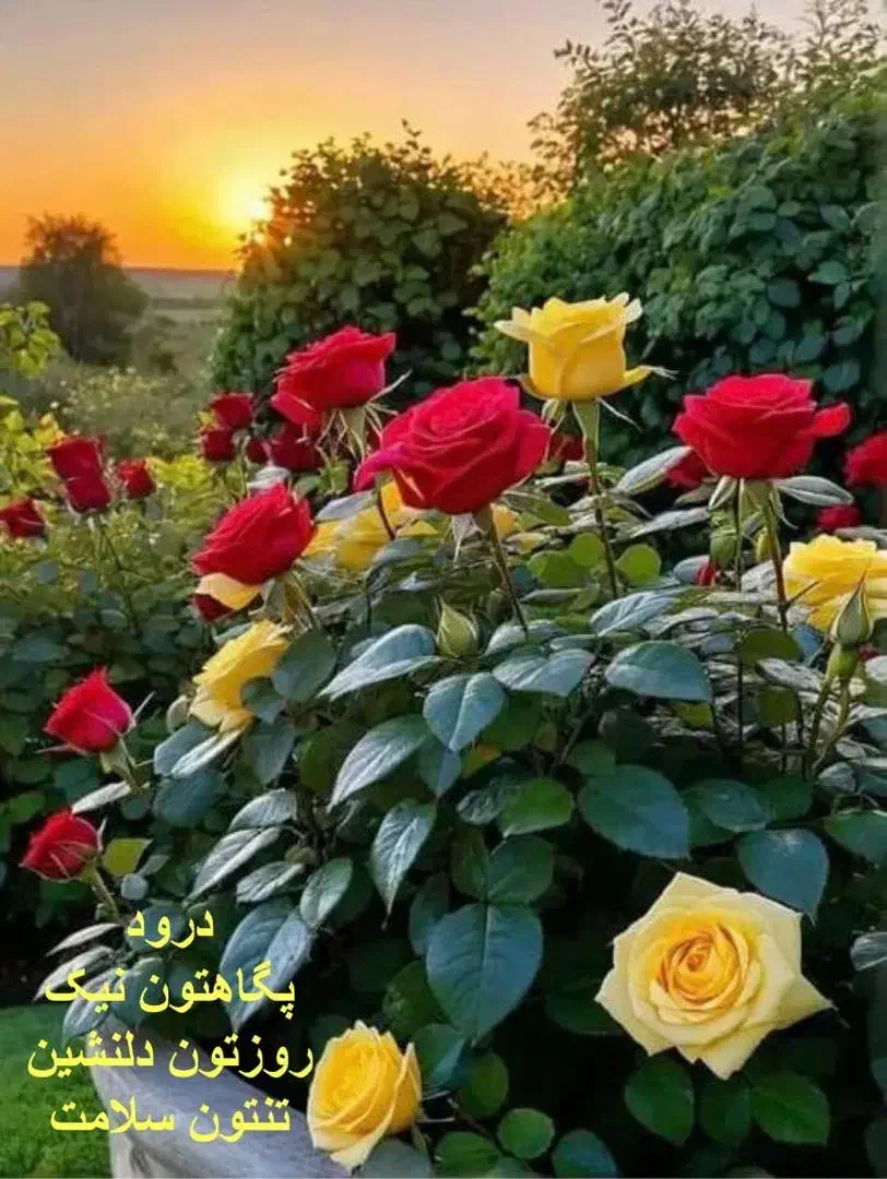 کارگر ساده جهت گلفروشی|استخدام خدمات فروشگاه و رستوران|شیراز, دشت چنار|دیوار