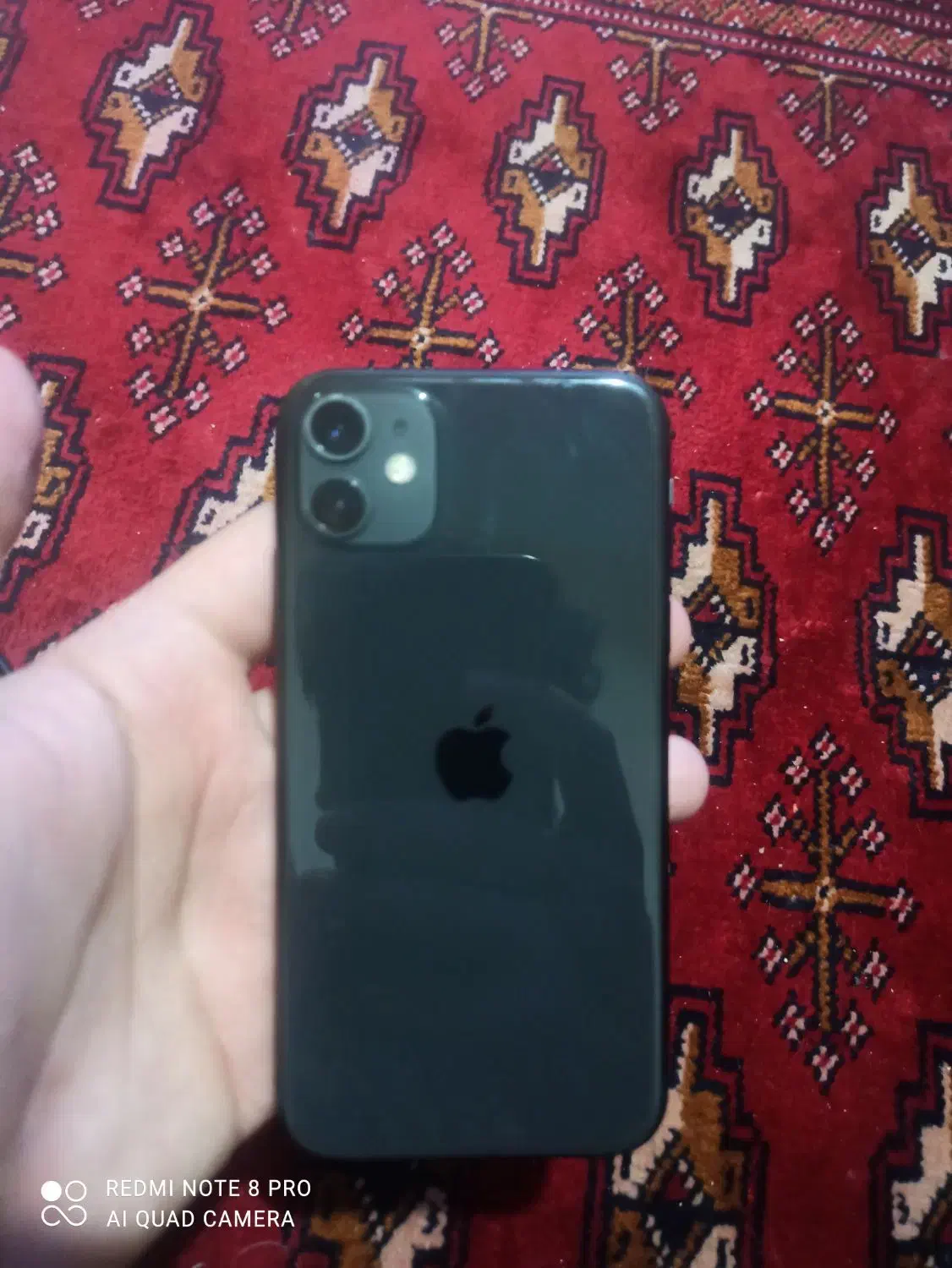 اپل iPhone 11|موبایل|زاهدان, |دیوار