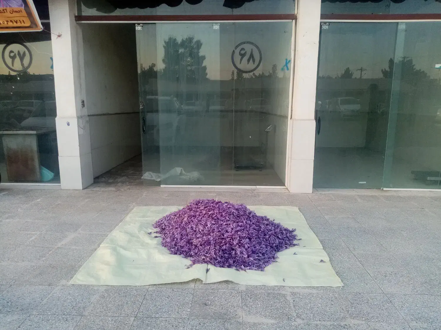 خرید و فروش گل زعفران|عمدهفروشی|تربتحیدریه, پایانه مسافربری تربت حیدریه|دیوار