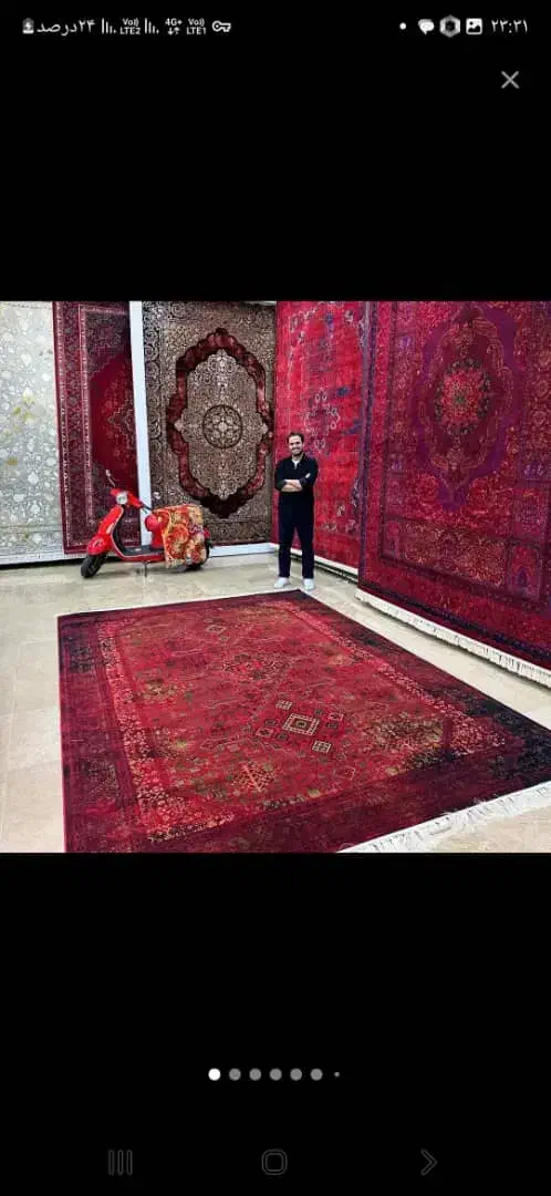 فرش‌گوهر/فرش‌کلاسیک|فرش|شوشتر, |دیوار