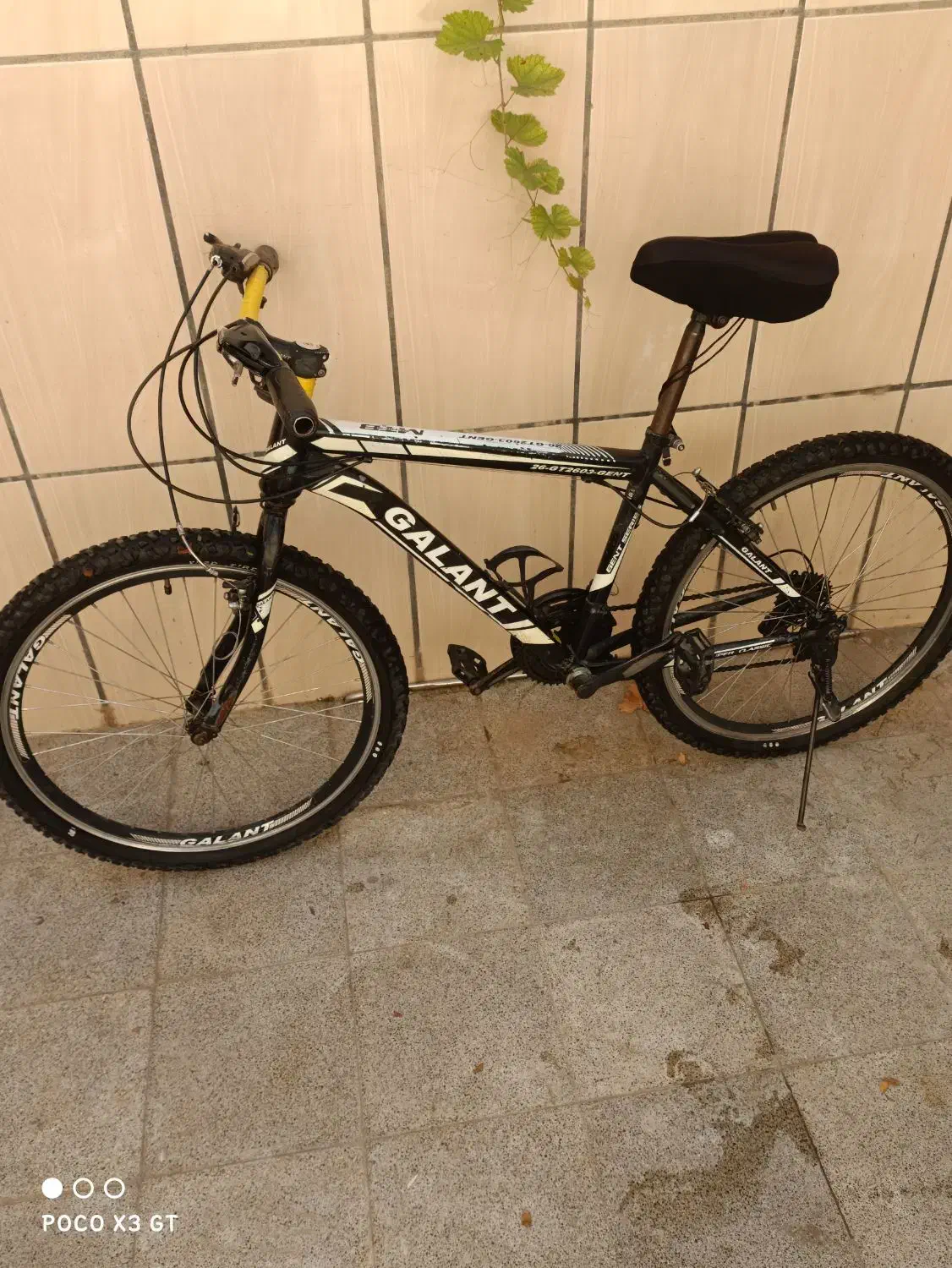 دوچرخه GALANT 26 تمیز|دوچرخه، اسکیت، اسکوتر|کاشمر, |دیوار