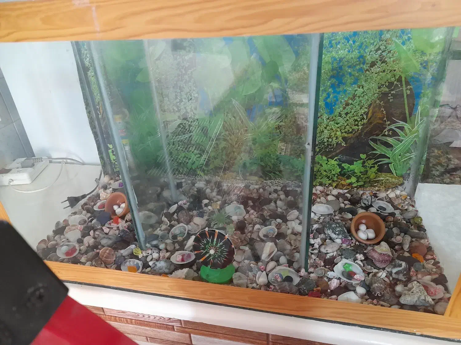 سلام آکواریوم بزرگ دوقلو سالم|ماهی|تربت جام, باغ سنگان سفلی|دیوار