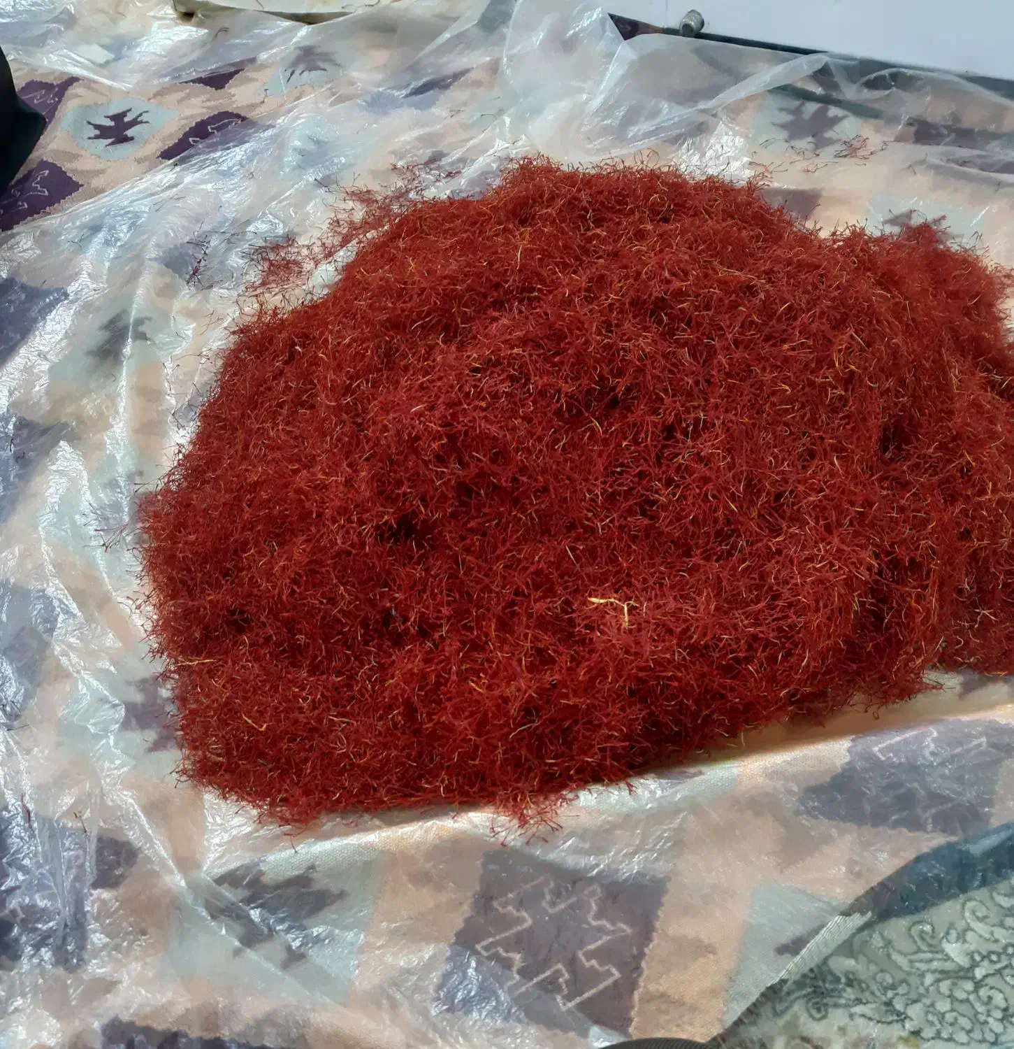 گل زعفران ومثقالی|گل و گیاه طبیعی|سبزوار, رباط|دیوار