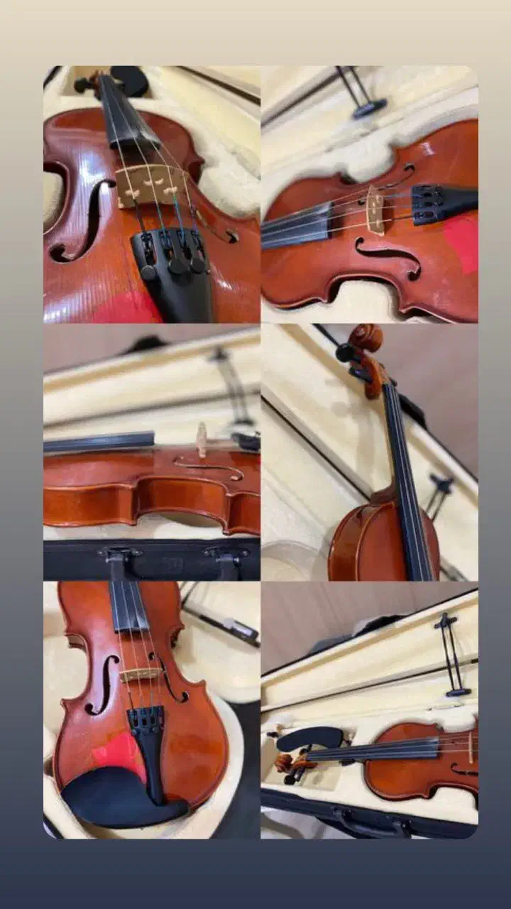 ویولن|ویولن|میاندوآب, |دیوار