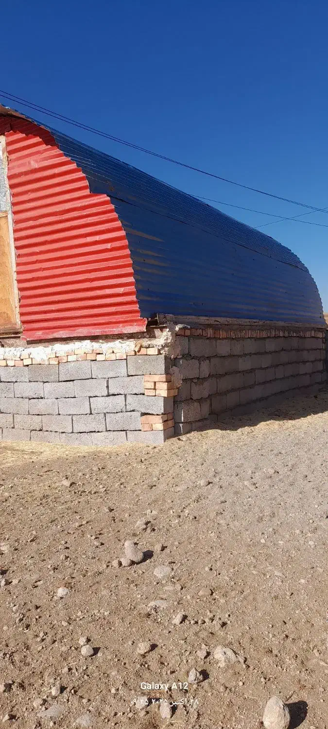 کاه کمپاین|لوازم جانبی حیوانات|هشترود, |دیوار