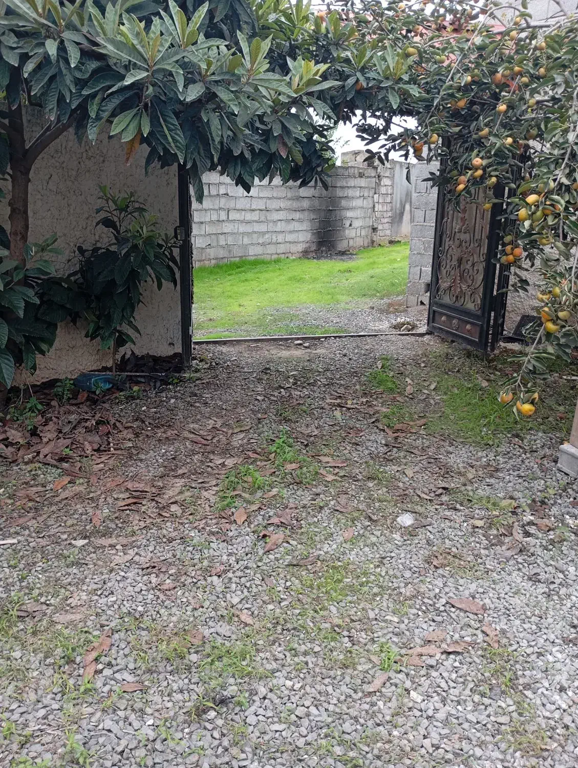 ویلا به قیمت شهر دابودشت|فروش خانه و ویلا|دابودشت, |دیوار